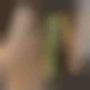 Преса за къдрене и изправяне на коса TWISTLINE