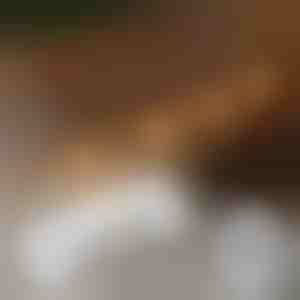 20x самозалепващи се щипки за монтиране на светлини | CORDCLIP