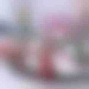 Коледен влак | TRAINMAS