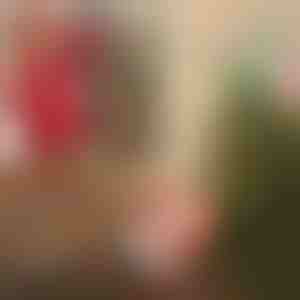 Дядо Коледа с парашут | SANTASWING