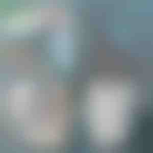 Лопатка с контейнер за почистване на котешка тоалетна | SCOOPY