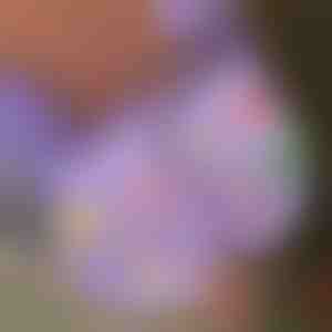 Коледни светещи фигурки за обувки (7 бр.) | SHINETAGS