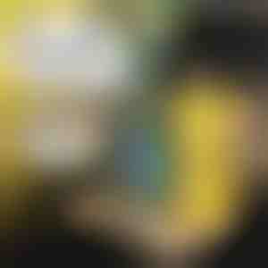 Детска подложка за кола | MUNCHI