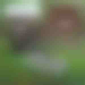 Многофункционален градински инструмент за поддръжка на почвата | PRONGSPRO