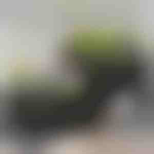 Кутия за отглеждане на градина | BOTANITKO