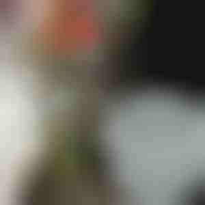 Държачи за цветя за зашеметяващи аранжировки (3 бр.) | VASEKA