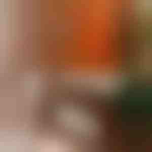 Универсална политура за мебели | BEEWAX