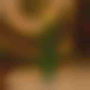 Трептяща празнична свещ без пламък | CANDLETREE