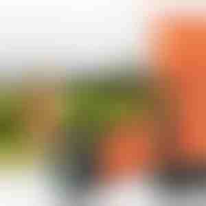 Ултразвуково устройство за дресиране на домашни любимци | WOOFSTOP