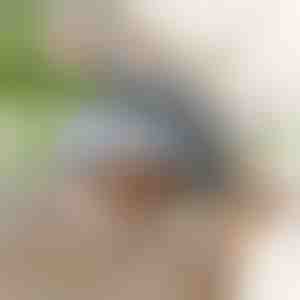 Интерактивна играчка – махаща птица | CHIRRCAT