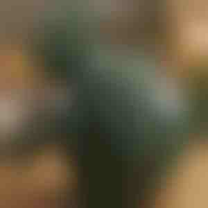 Загряващ масажор за шиацу | MASSORA