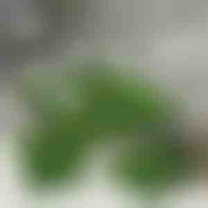 Изкуствени тревни плочки за декорация (5бр) | GRASSTILE